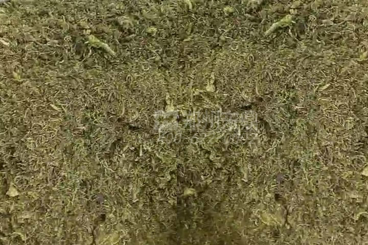 牧草烘干機(jī)如何科學(xué)選型？牧草烘干過(guò)程中營(yíng)養(yǎng)成分會(huì)流失嗎
